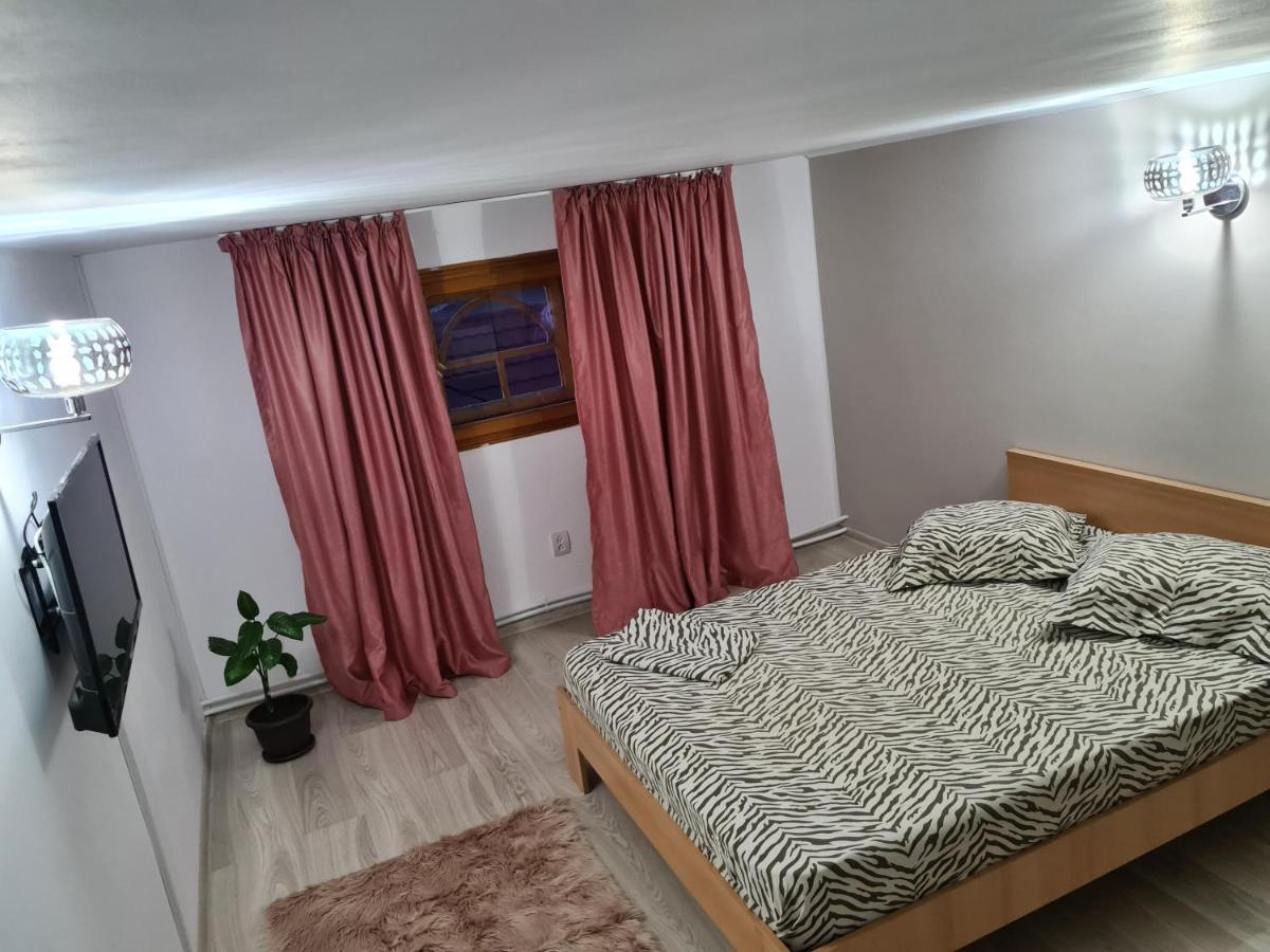 אפורי נורד Vila Adina מראה חיצוני תמונה
