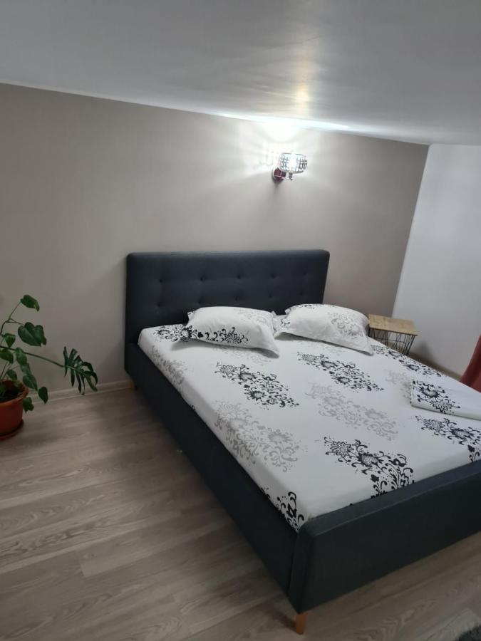 אפורי נורד Vila Adina מראה חיצוני תמונה